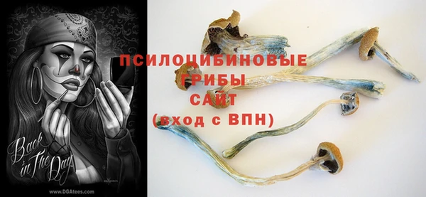 мдпв Алзамай