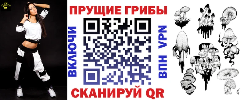 Псилоцибиновые грибы Psilocybine cubensis  как найти   ОМГ ОМГ   Качканар 